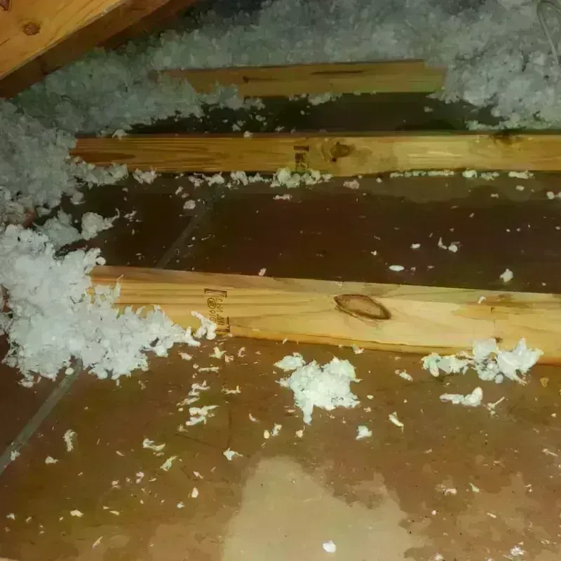 Attic Water Damage in Calhoun County, AR