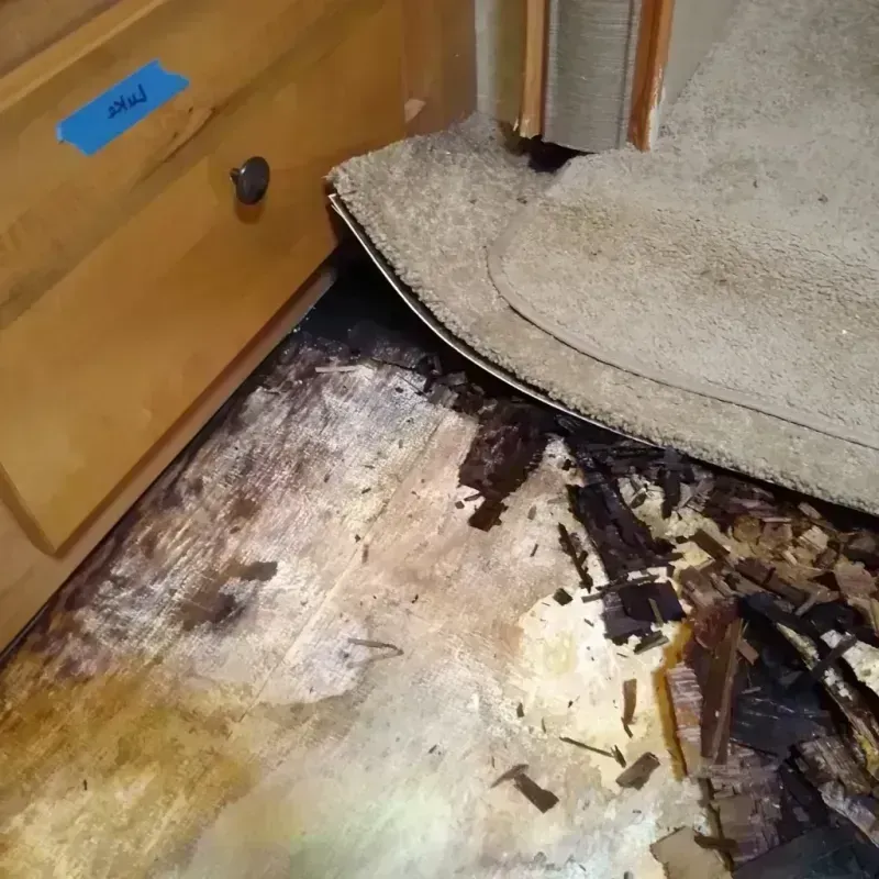 Wood Floor Water Damage in Calhoun County, AR